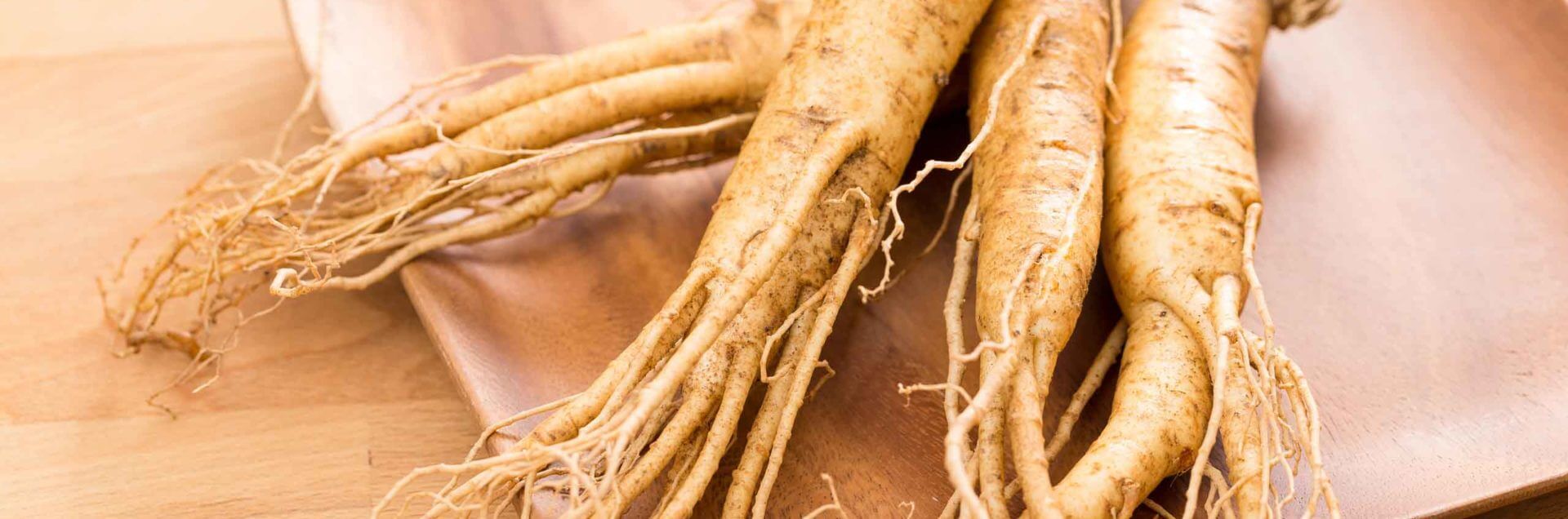 picture of ginseng root: ginseng benefits blog post
