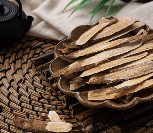 Astragalus Root Benefits - astragalus root pieces in a bowl with a teapot